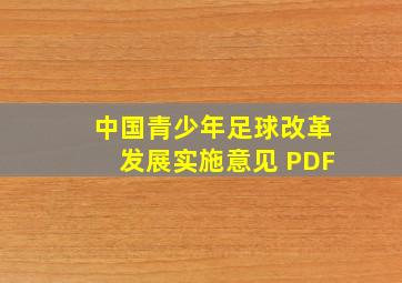 中国青少年足球改革发展实施意见 PDF